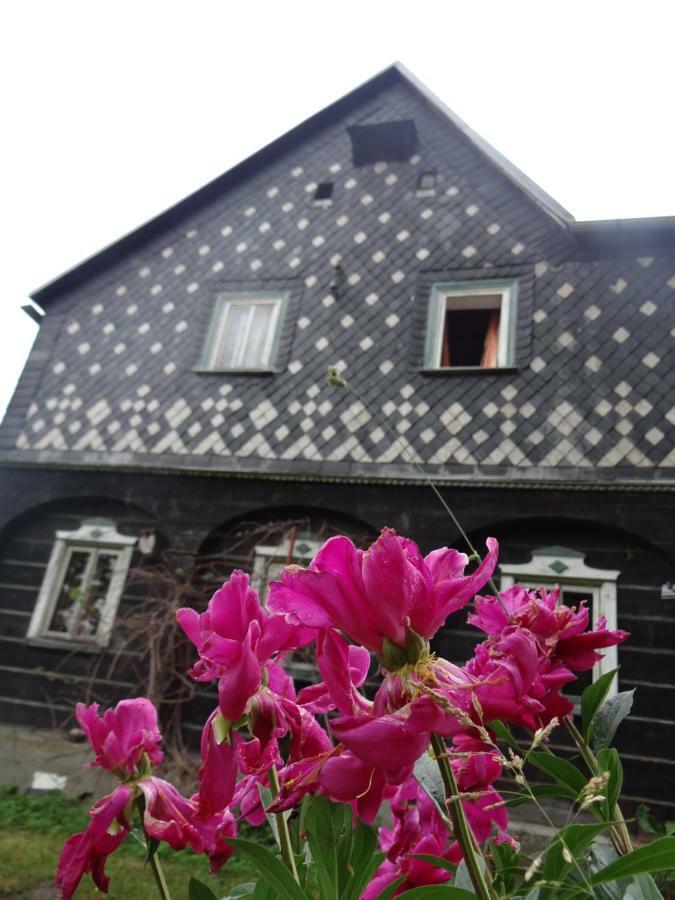 ŠluknovPrazdninovy Dum Nove Hrabeci别墅 外观 照片